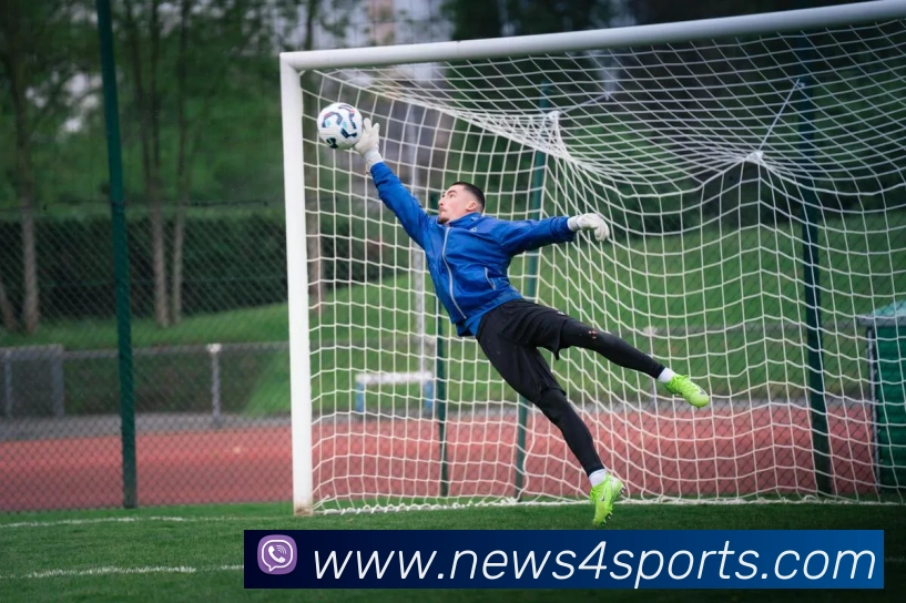 体育下注平台生态图